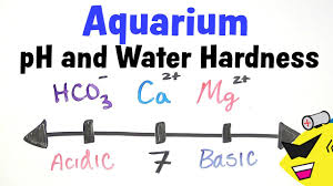 aquarium ph and water hardness