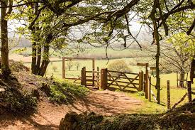 Devon Landscape Framed Devon England Landscape Large Picture Frames