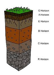 Early anthropogenic soil formation 733. Soil Morphology Wikipedia