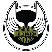 Image result for harley davidson wing