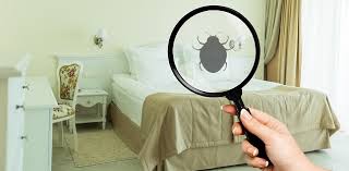Our bed bug toronto services are 100 the team at power pest control can help you with your bed bug infestation. Toronto Number One For Top Bed Bug Cities Durham Radio News