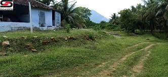 In fact, an increasing percentage of land has fallen into the hands of a wealthy few. 50 Acre Farmland For Sale In Chemmanampathy Palghat