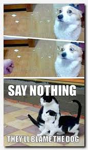41 Funny Animal Pictures Hot Tattoo Funny Animal Jokes Funny Animal Memes Animal Jokes
