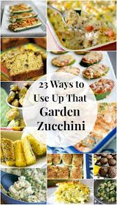 Zucchini needs optimum levels of water to grow well. 23 Ways To Use Up That Garden Zucchini Carrie S Experimental Kitchen
