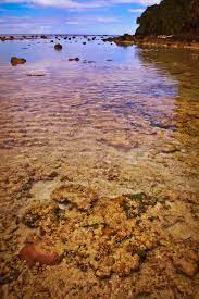 Apakah bisa kita mengganti ataupun mengubah nama pembayaran adsense atau sering disebut payee name? Pulau Miangas Wikipedia Bahasa Indonesia Ensiklopedia Bebas