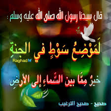 Desertrose يقول النبي عليه الصلاة والسلام لموضع سوط أحدكم في الجنة خير من الدنيا وما فيها وحين تضع العصا على الأرض كم ستأخذ م Neon Signs Ramadan Signs