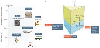 If you are interested in joining us, please send your cv to dr. Soft Condensed Matter Physics Of Foods And Macronutrients Nature Reviews Physics