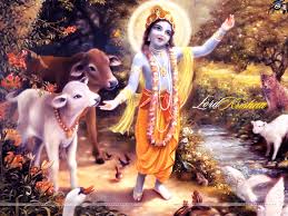 Free Download Lord Krishna HD Wallpaper #113