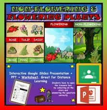 Safe, secure & free returns. Flowering And Non Flowering Plant Worksheets Teaching Resources Tpt