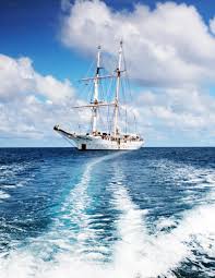 SEA FY24 Annual Report by Sea Education Association