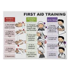 First Aid For Kids First Aid For Kids First Aid First Aid Tips
