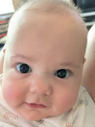 Tara Leone (@tlhaircreations) • Instagram photos and videos