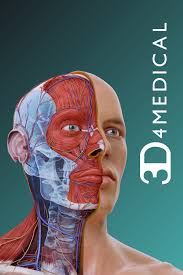 It's difficult to calculate lean body mass, let alone muscle mass. Get Complete Anatomy 2021 Microsoft Store
