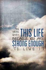 Pin On Quotes And Sayings