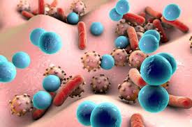 Jangkitan kuman yang dikenali sebagai group b streptococcus atau gbs semasa hamil sememangnya mendatangkan kebimbangan para ibu. Kenali Perbedaan Virus Dan Bakteri Serta Penyakit Yang Disebabkannya