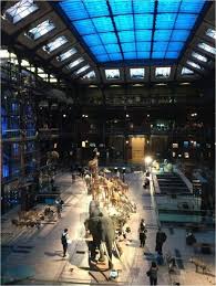 La Grande Galerie De L Evolution Galerie Plante Jardin Paris