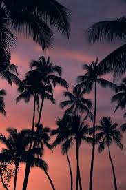 You can install this wallpaper on your desktop or on your mobile phone and other. Miami Vice By Grischa Theissen On 500px Nature Photography Sunset Wallpaper Miami Travel