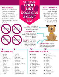 List Of Foods Dogs Can Eat Google Search Foods Dogs Can Eat Food Dogs Cant Eat Things Dogs Cant Eat