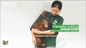 What is this message about? Eine Zukunft Fur Nicht Auswilderbare Orang Utans Borneo Orangutan Survival