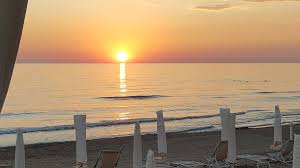 Image result for Bianco Conchiglia 2008 147