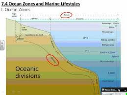 Copy Of Copy Of Ocean Zones Lessons Tes Teach