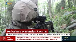 Giresun kırsalında yakalanan kawa kod adlı pkk'lı terörist, sorguda eren bülbül'e ilişkin yöneltilen soruya biz onu istihbaratçı. Eren Bulbul U Nasil Sehit Ettiler Teroristlerden Biri Konustu Ntv