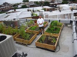 Restaurant Herb Garden Rooftop Garden Herb Garden Elevated Gardening