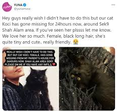 Bukan sahaja di pj dan ttdi, kafe sebegini juga dilihat banyak tumbuh di shah alam. Kucing Kesayangan Hilang Satu Shah Alam Tolong Cari Sebab Nak Jumpa Yuna Hot Fm