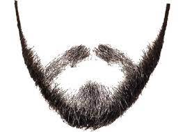 Beard Png Beard Images Photoshop Hair Beard