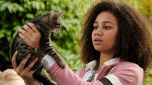 Elinor nory horace, elliott cohen, bax kapoor, andres padillo, pepper phan, marigold ramos, willa ingeborg. Upside Down Magic Fernsehserien De