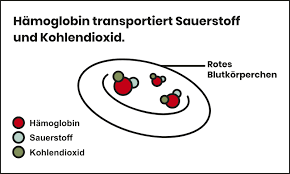 Zur kenntnis der sogenannten alkalicarbonyle iv1 über die reaktion von geschmolzenem kalium mit kohlenmonoxid. Kohlenmonoxid Vergiftung Co Macht Ko