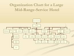 Organizational Chart Of Medium Sized Hotel Www