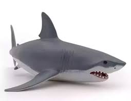 Pin By Seleke Frayherstone On Custom Leather Jackets Baby Shark Shark Toy Baby Animals Funny