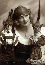 These 13 Vintage Dogs In Costume Prove Your Great Grandparents Had A Sense Of Humor Vintage Dog Dog Photography Dog Photos