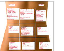 Durere în partea stângă jos: Aveti Dureri De Burta In Stanga Cabinet De Gastroenterologie Bucuresti