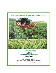 Develop a competent business plan for your farm with the help of the above template, which is a farm business plan template. Pdf Business Plan For Irish Potatoes And Wheat Production Footprint Limited Emmanuel Sanga Academia Edu