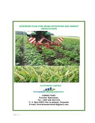 Financial model templates for agriculture businesses: Pdf Business Plan For Irish Potatoes And Wheat Production Footprint Limited Emmanuel Sanga Academia Edu