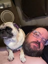 Why do pugs like to sit