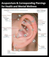 Acupuncture Corresponding Piercings For Health And Mental Wellness With Images Ear Piercings Chart Different Ear Piercings Ear Piercings