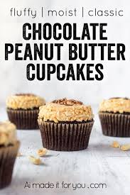 Chocolate Peanut Butter Cupcakes Ai Made It For You Recipe Chocolate Peanut Butter Cupcakes Peanut Butter Dessert Recipes Best Dessert Recipes