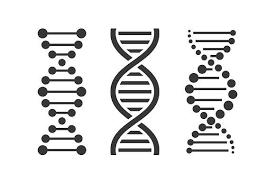 Dna Icons Set Backstreet Boys Little Mix Dna