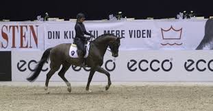 2,707 likes · 3 talking about this. Meet Dorothee Schneider Ride Better Tv