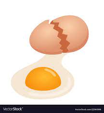 Broken Egg On White Background Royalty Free Vector Image Broken Egg White Background Canvas Art Painting
