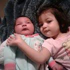 51 Jack Russell terrier ideas