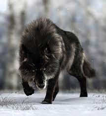 13 Seriously Real Wildlife Renders Life In 3d Area By Autodesk Wolf Dog Timber Wolf Wolf Spirit Animal