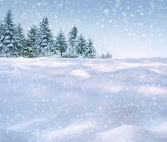 Winter Snowing Background Winter Forest In Snow Background Affiliate Snowing Winter Background Snow Forest Ad Winter Forest Background Image