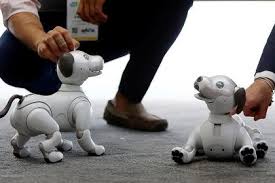Sony Predstavila Robota Sobachku C Iskusstvennym Intellektom Rossiya I Mir Nauka I Tehnika Novosti Blagoveshenska I Amurskoj Oblasti Amur Net Pervyj Amurskij Portal