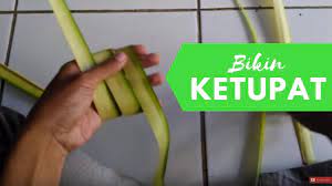 Membuat Ketupat Dari Daun Kelapa Janur Kelapa Belajar Video
