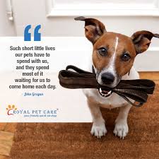 Thank you for stopping by! At Royalpetcare We Love All Your Pets Just Like You D Do Back Home Visit Http Bit Ly Royalpc01 To Know More About Dog Boarding Near Me Pet Care Pet Clinic