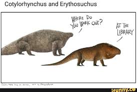 Cotylorhynchus And Erythosuchus Ifunny Funny Animal Memes Animal Memes Memes